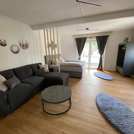 Fewo Kuemo II An Der Regnitz Bischberg'S Exteriör bild